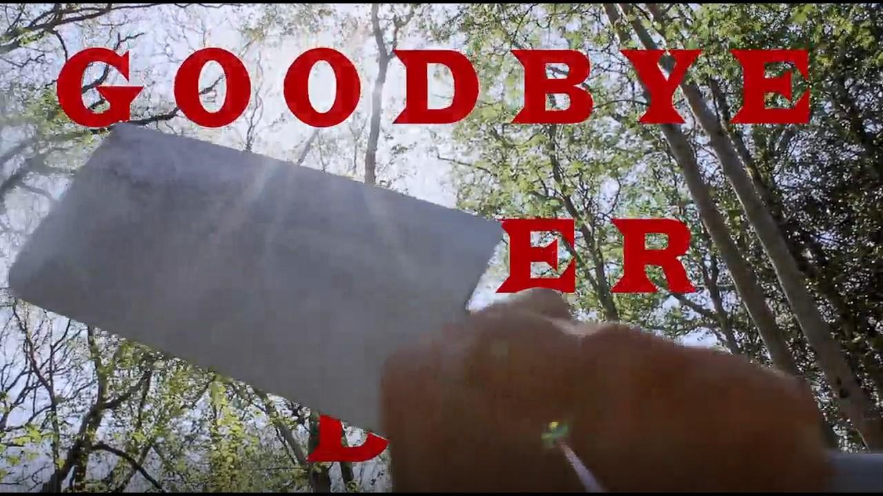 Goodbye Sober Day Trailer