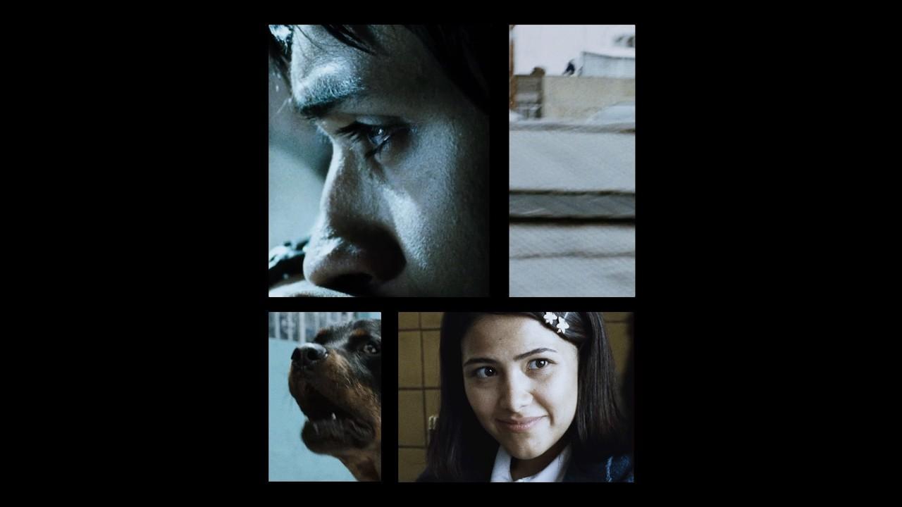 Amores Perros Trailer