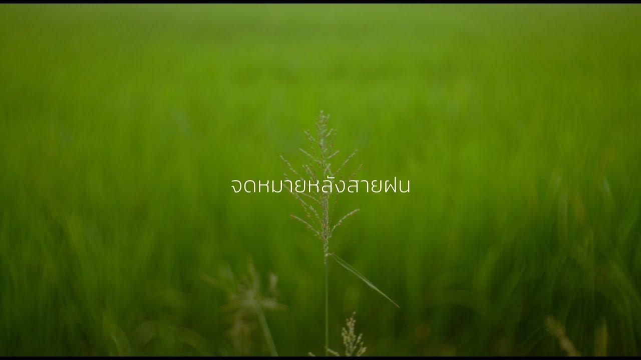 Letters After Rain Trailer