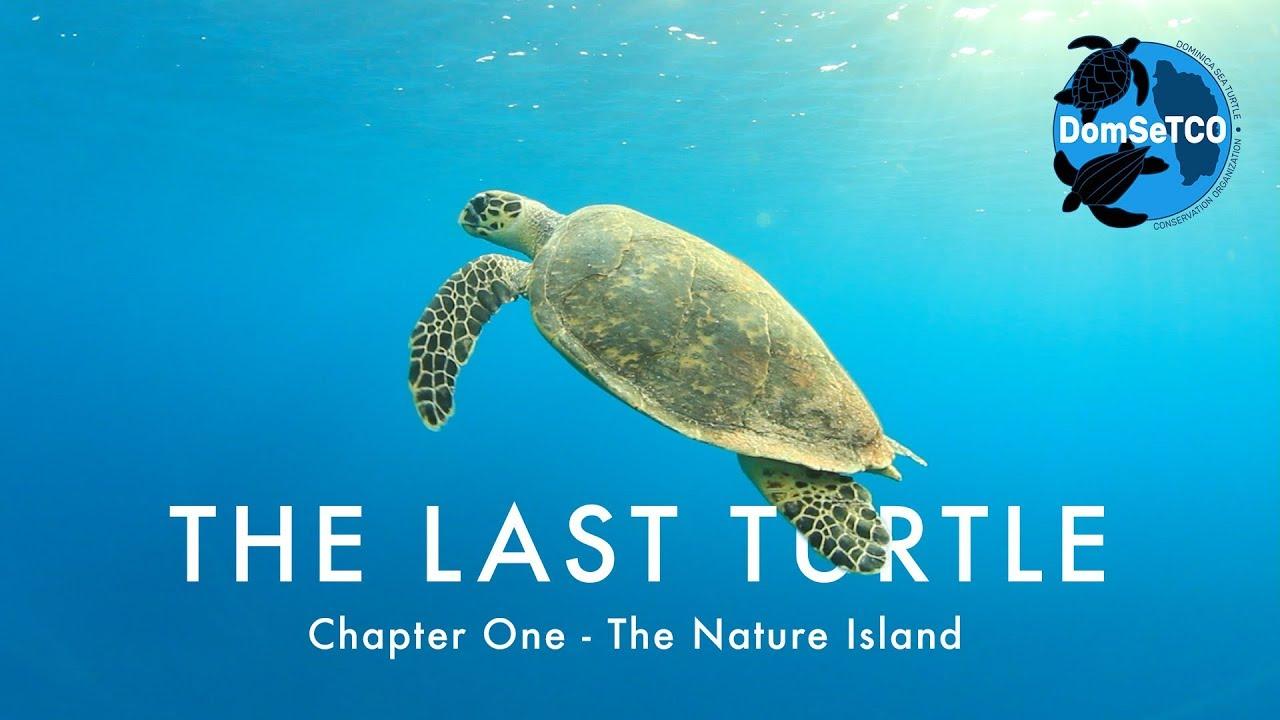 The Last Turtle Trailer