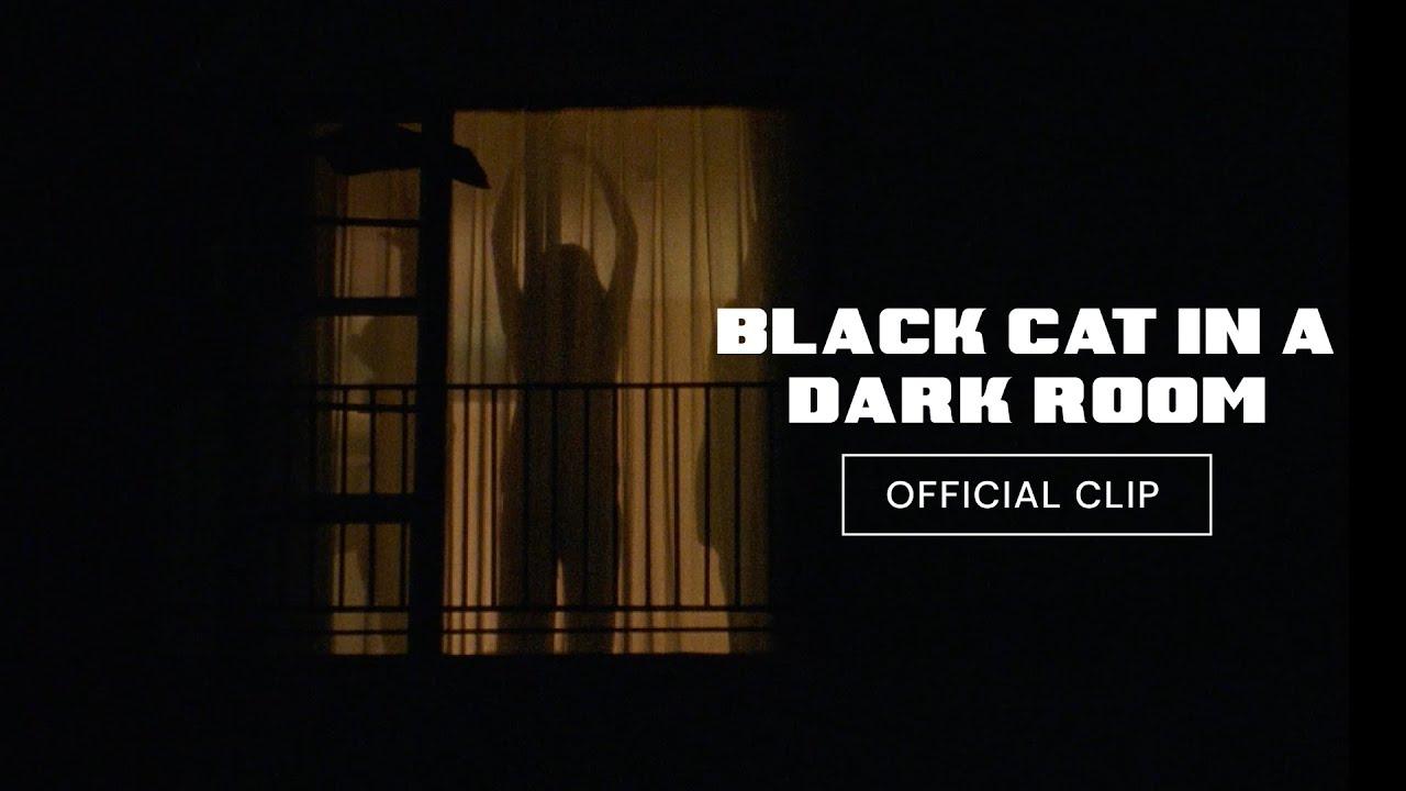 Black Cat in a Dark Room Trailer