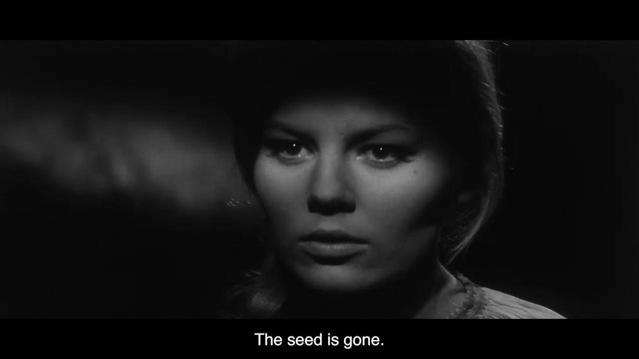 The Golden Fern Trailer