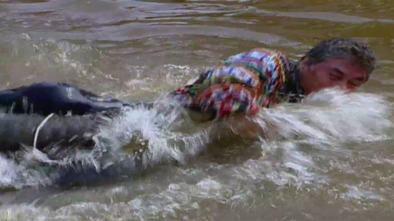 Wrestling Alligators Trailer