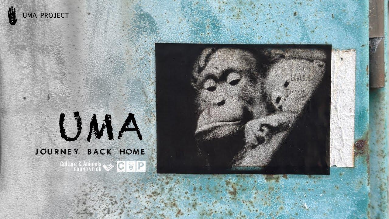 UMA — Journey Back Home Trailer