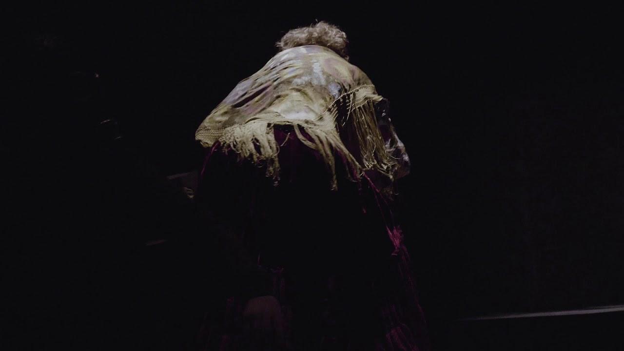 Where the Forest Thickens Trailer