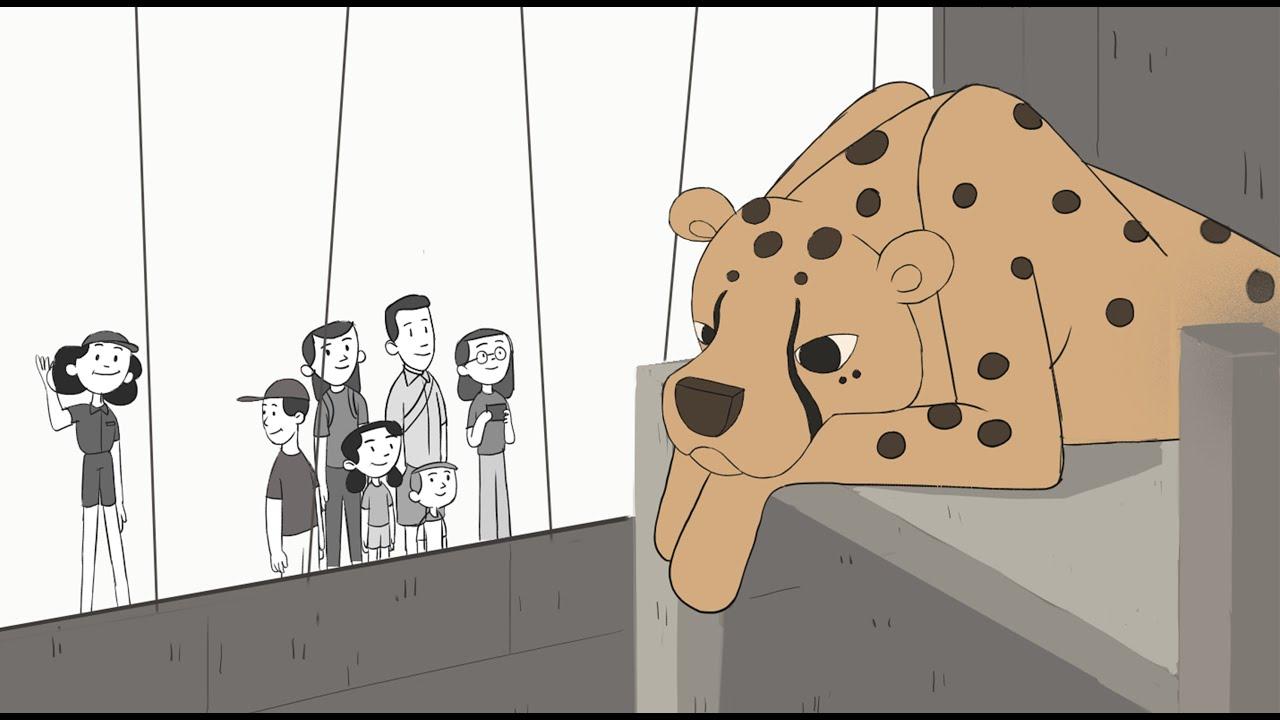 We Love Animals Trailer