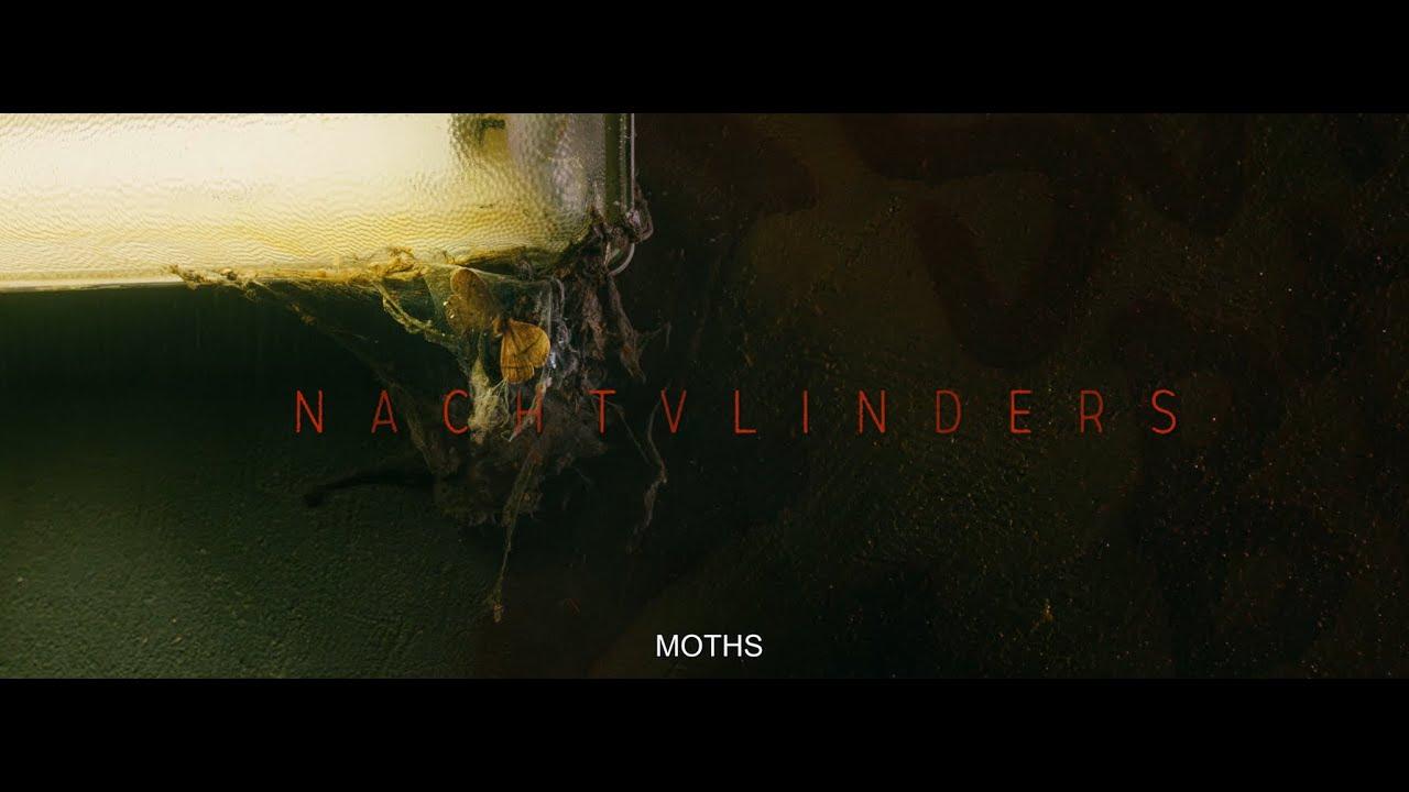 Night Creatures Trailer