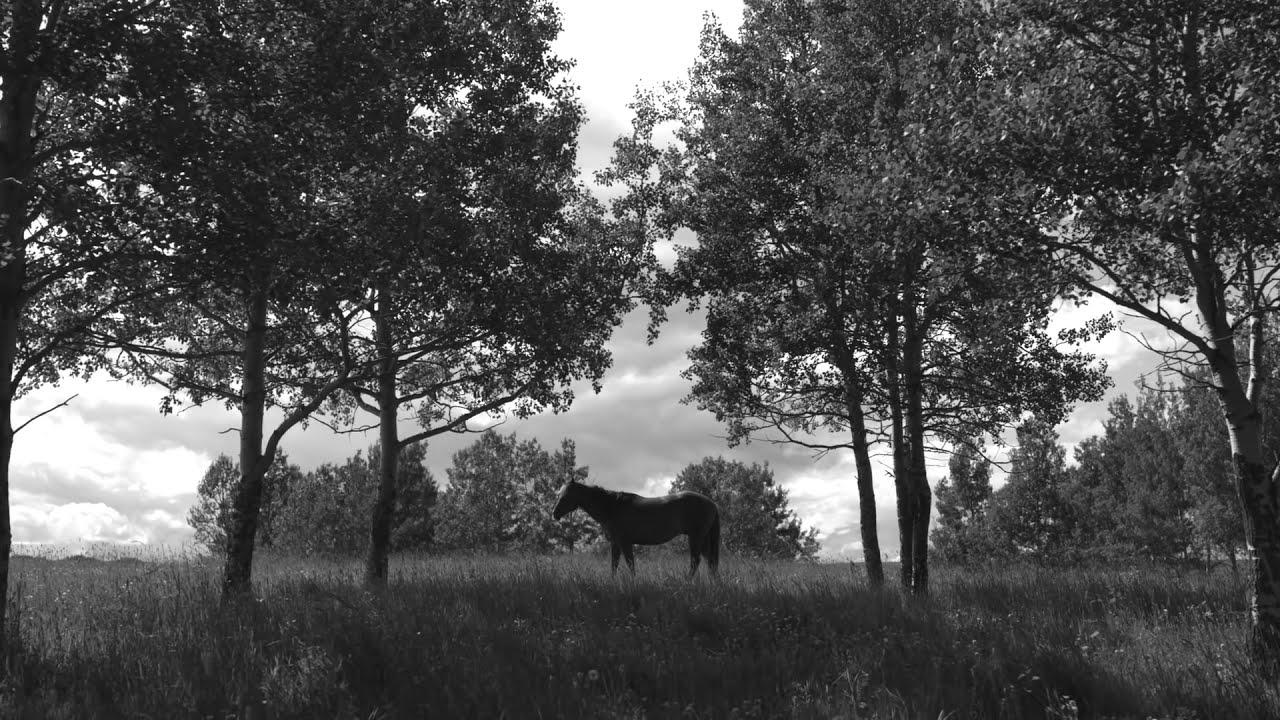 Empyrean Trailer