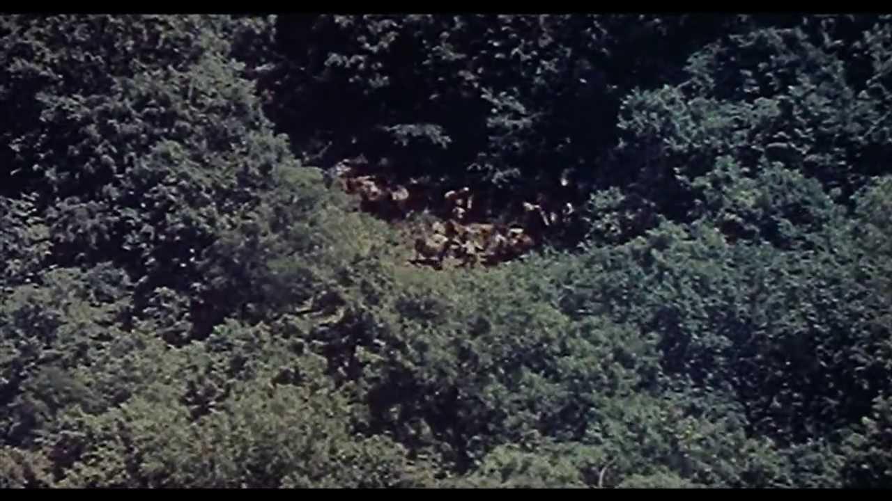 Dersu Uzala Trailer