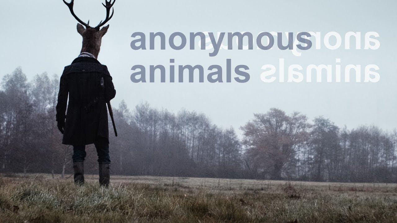 Anonymous Animals Trailer