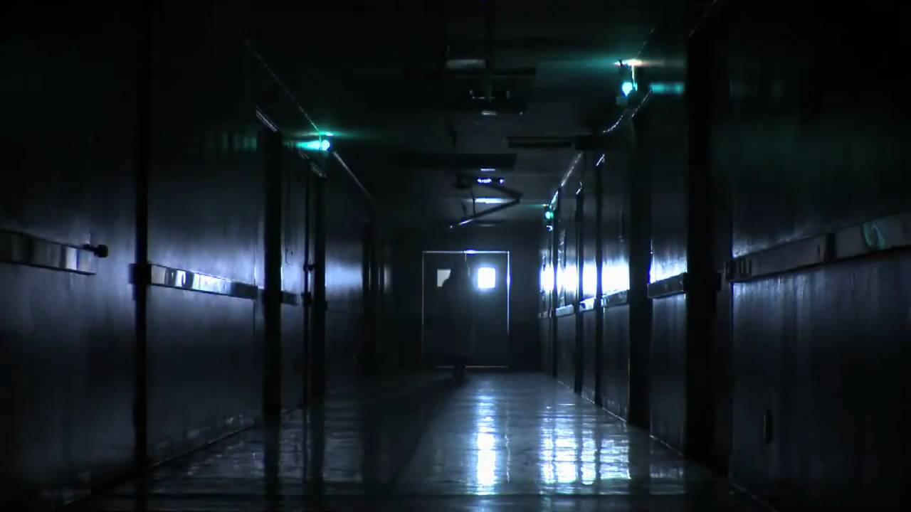 The Forest Trailer