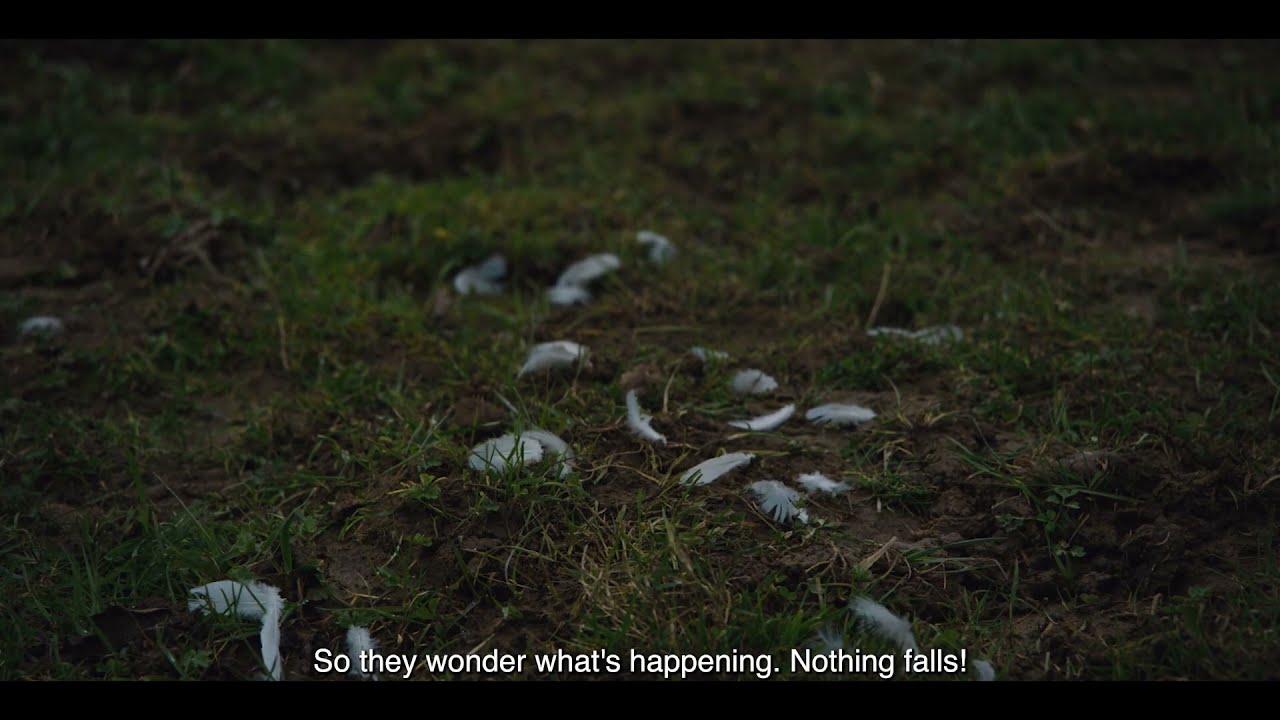 Excess Will Save Us Trailer