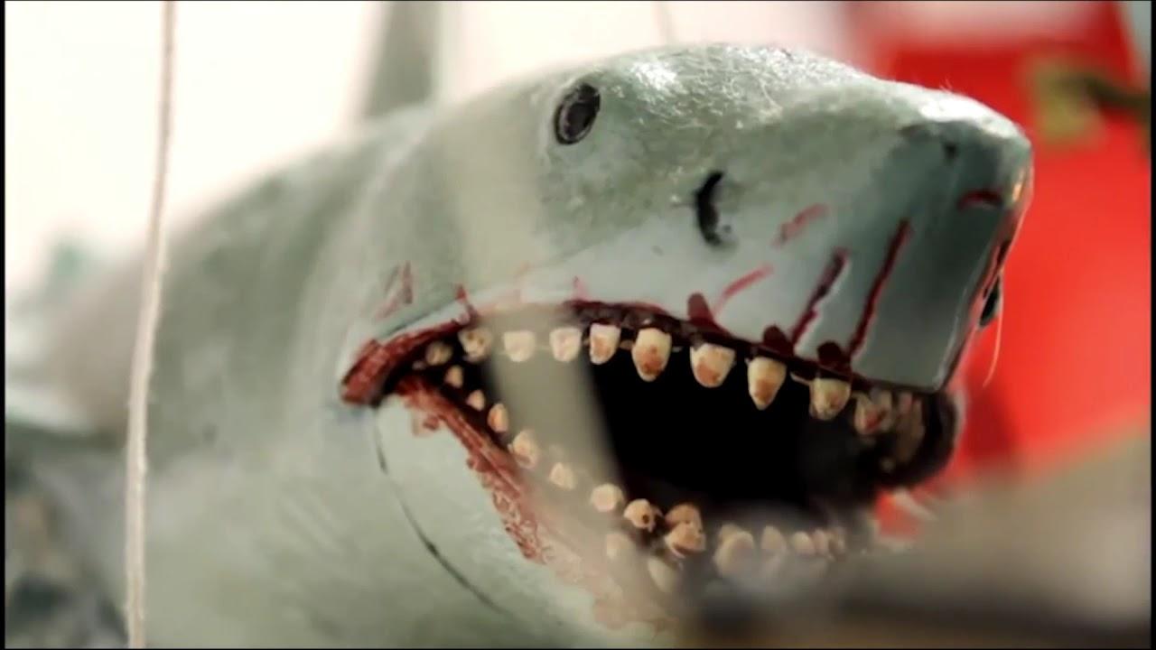 Jaws Finatics Trailer