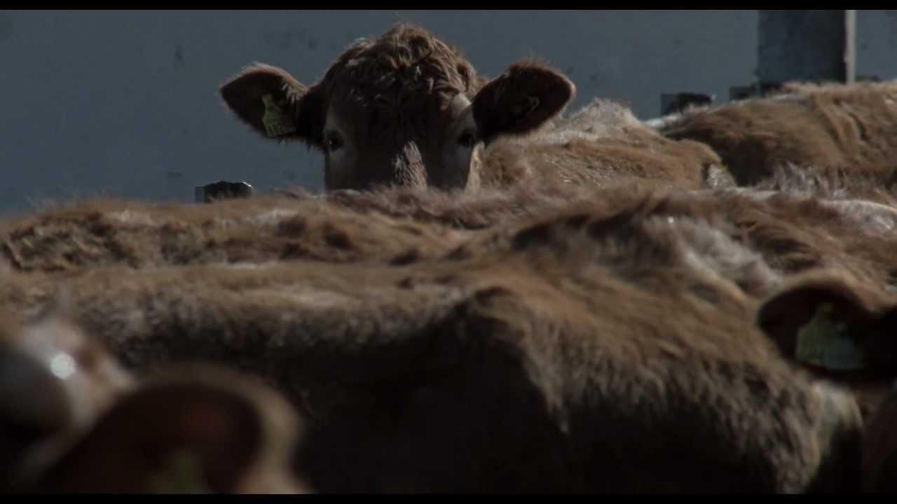Canned Dreams Trailer