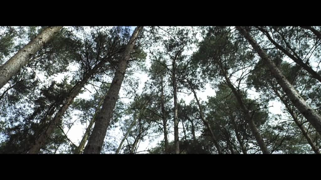 The Hike Trailer