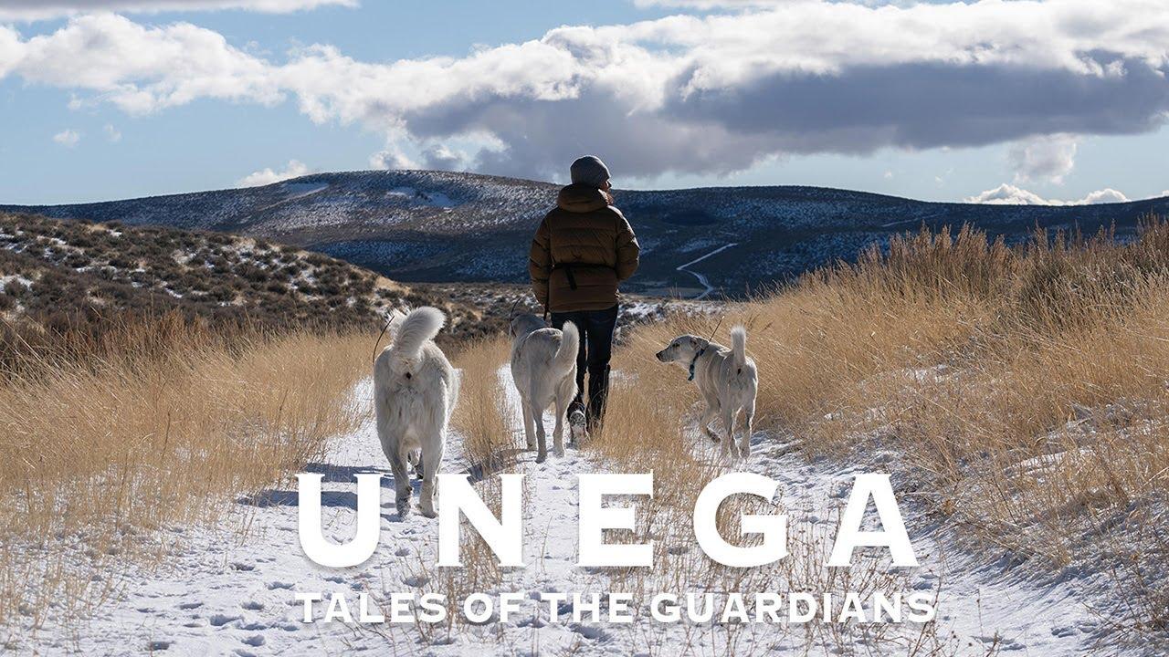 Unega | Tales Of The Guardians Trailer