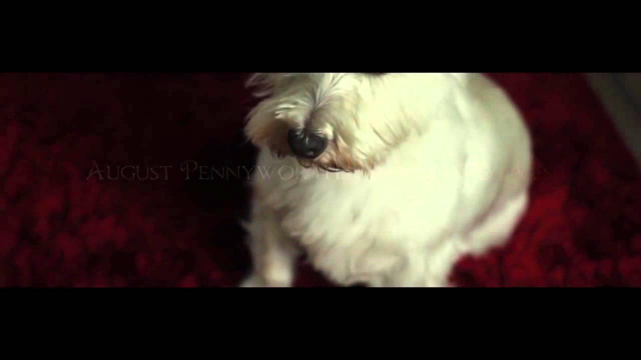 27, Memory Lane Trailer