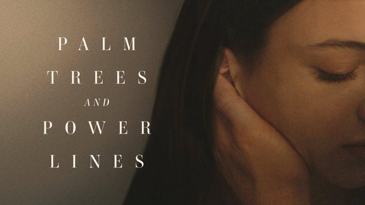 Palm Trees and Power Lines Trailer