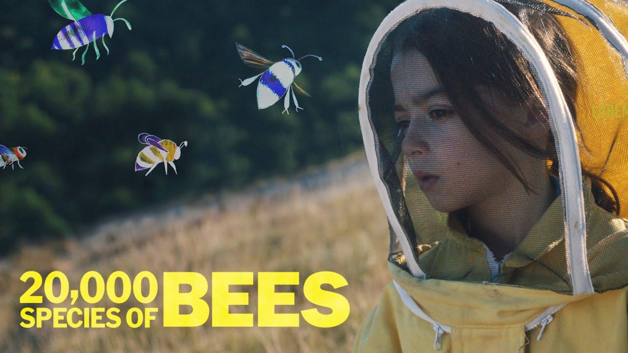 20,000 Species of Bees Trailer