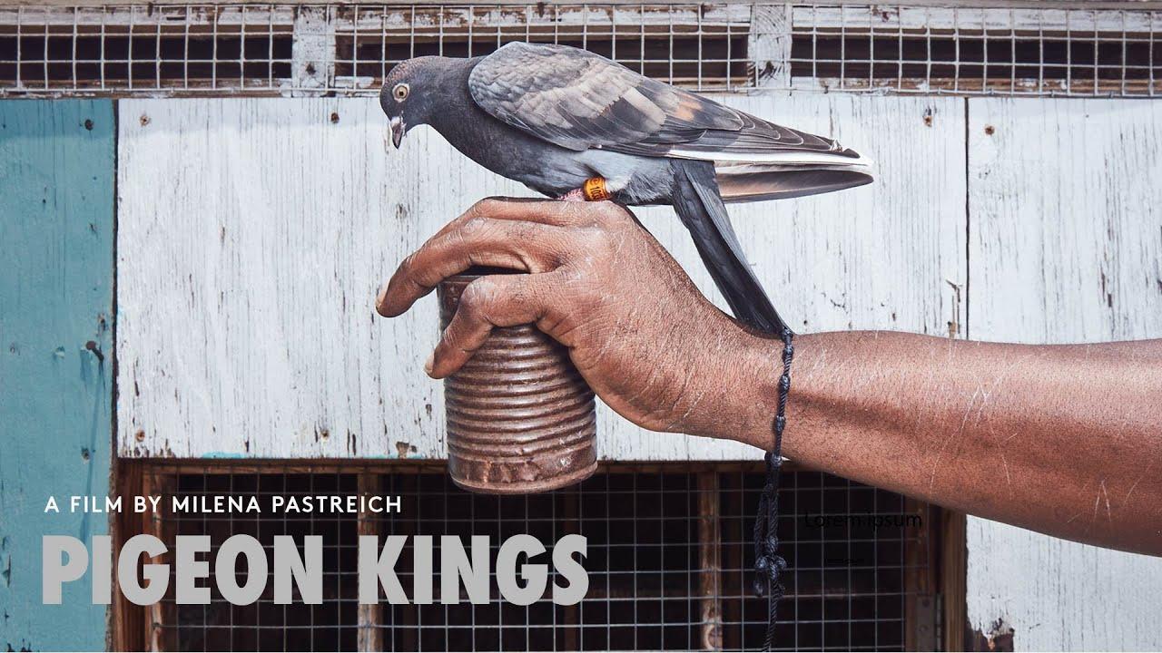 Pigeon Kings Trailer