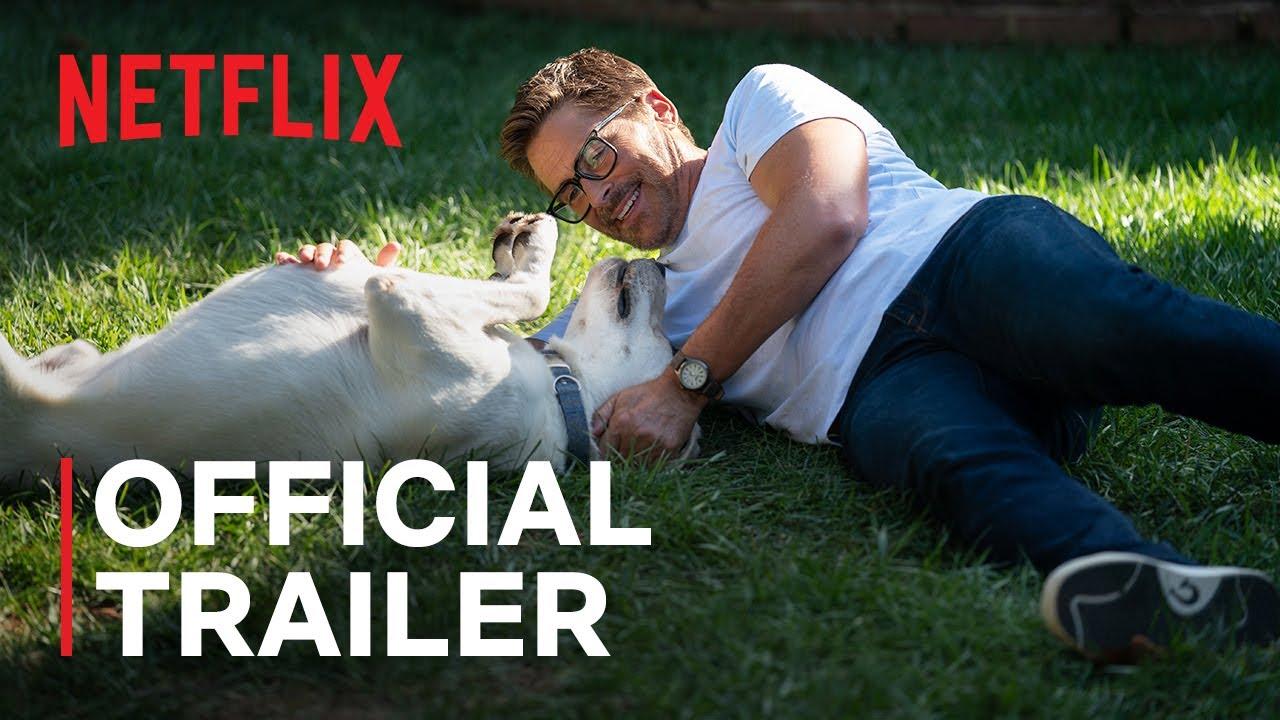 Dog Gone Trailer