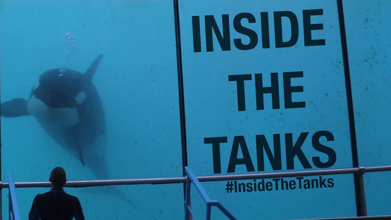 Inside the Tanks Trailer