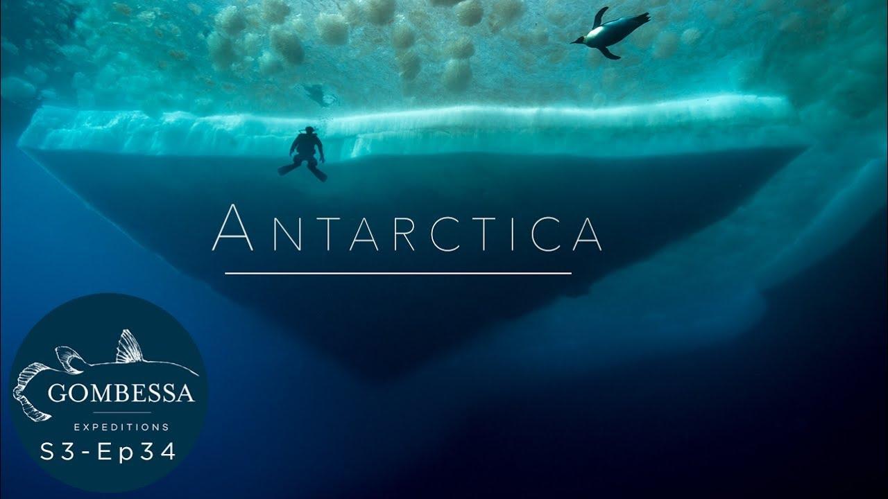 Antarctica, in the footsteps of the Emperor Trailer