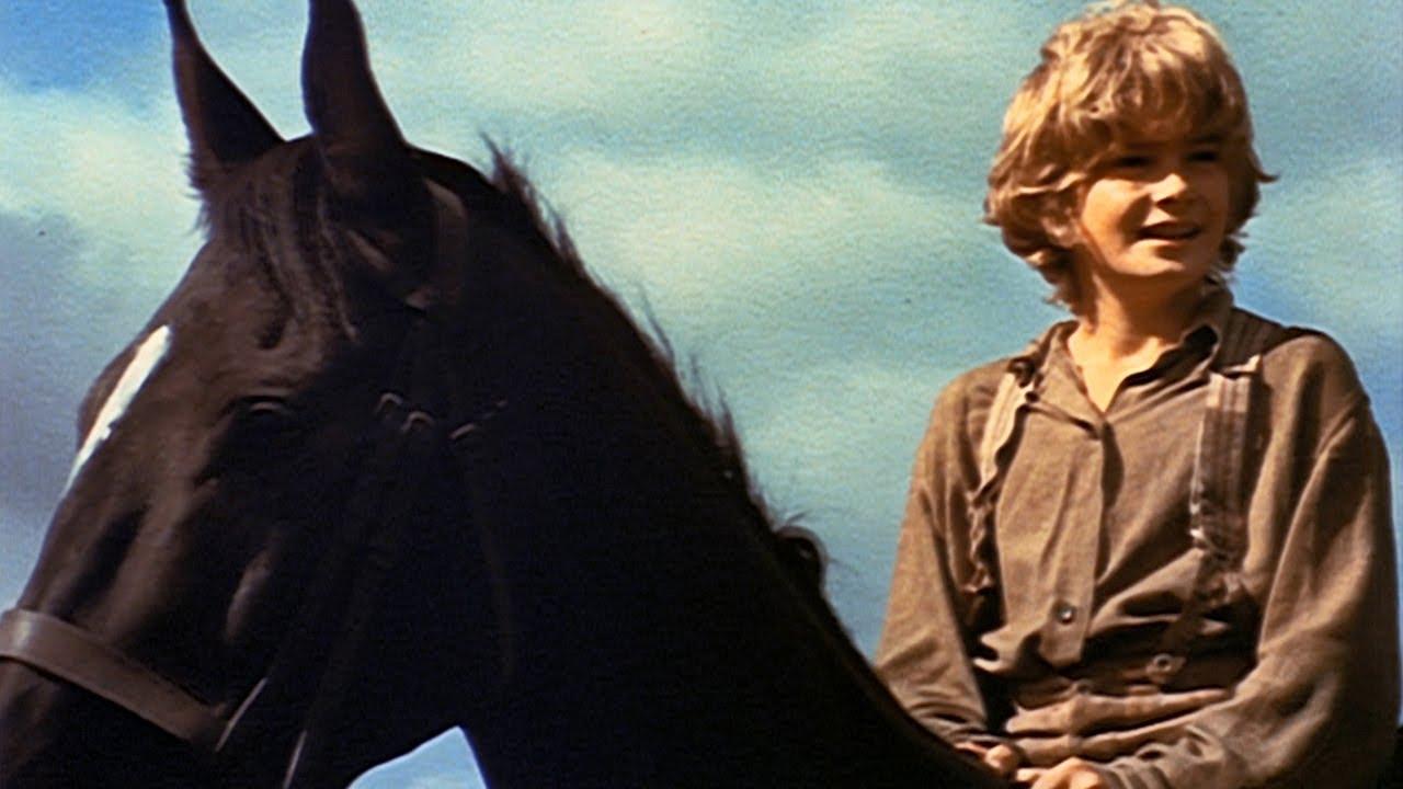 Black Beauty Trailer
