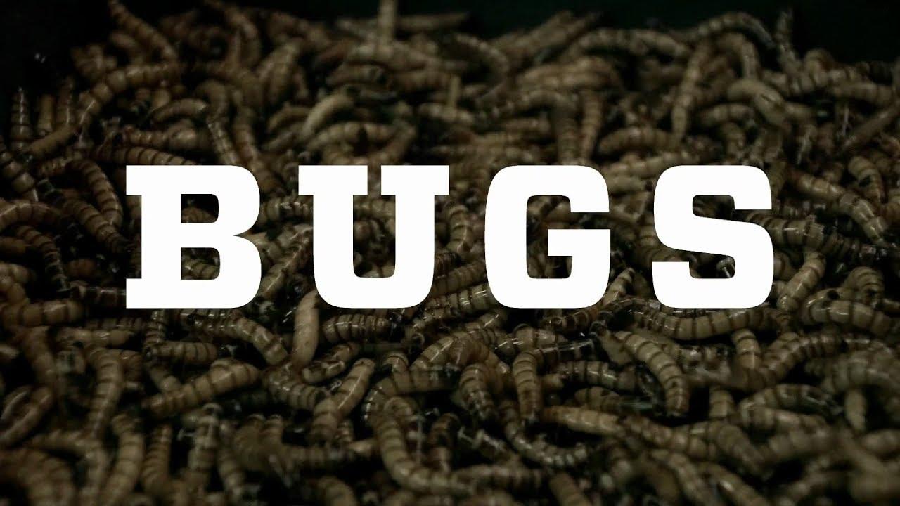 Bugs Trailer