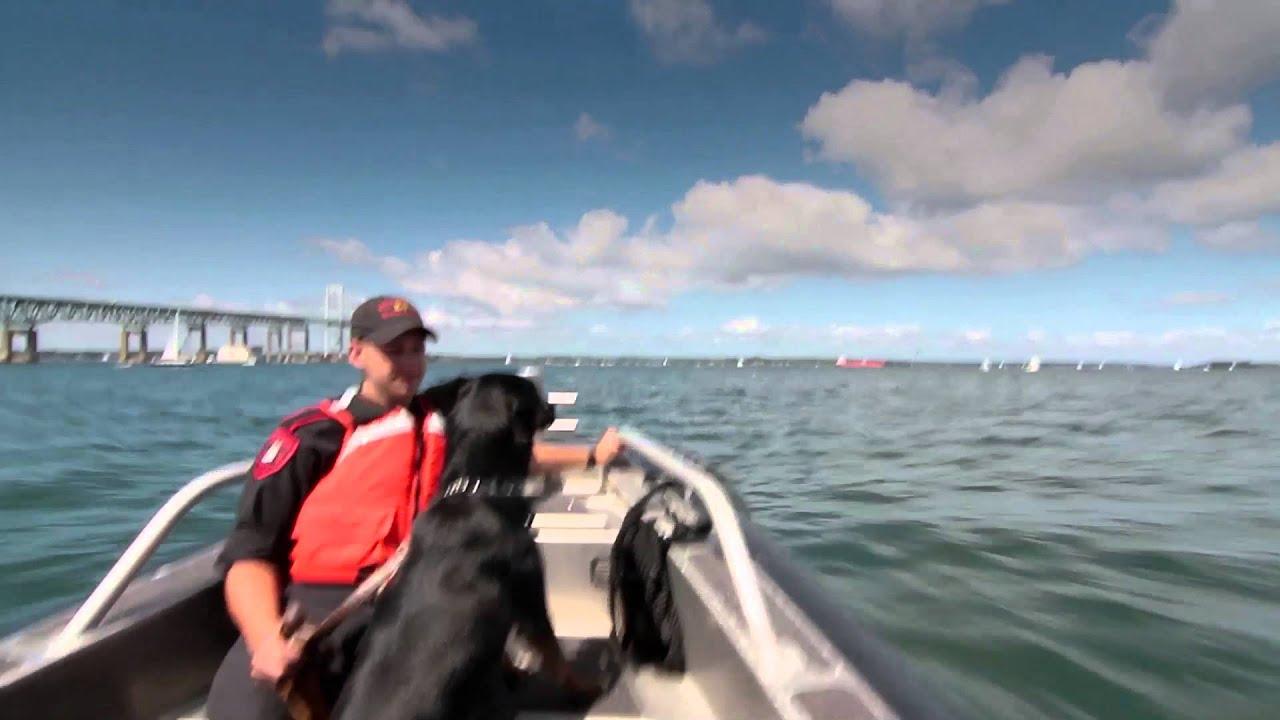 Searchdog Trailer