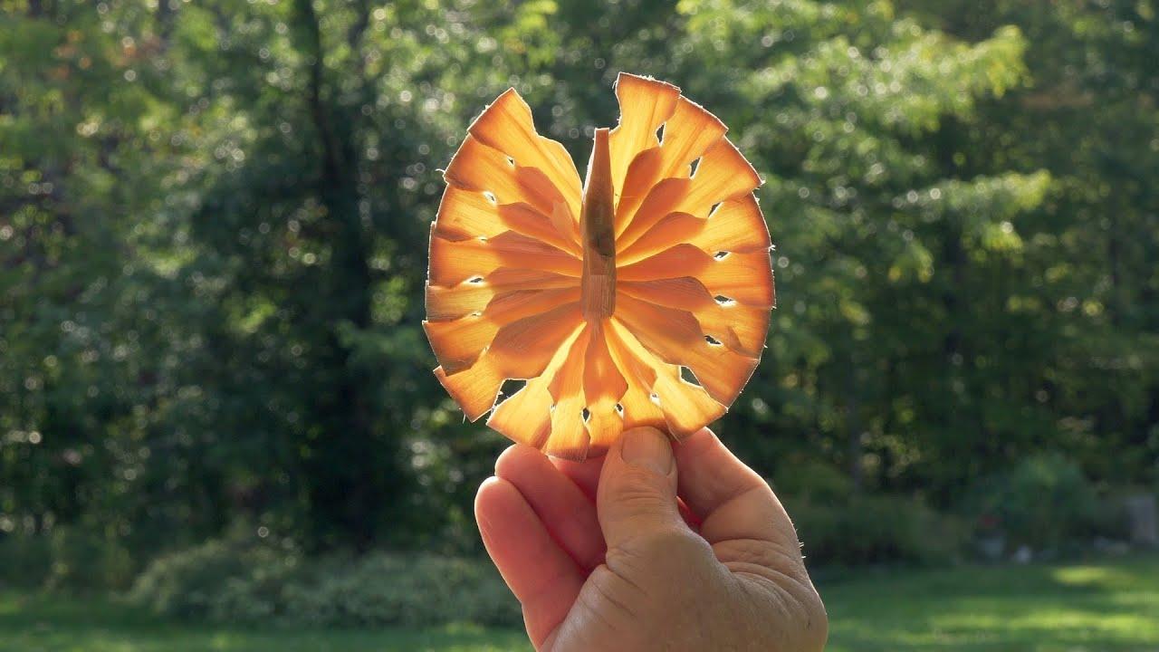 Finnish American Chip Woodcarvers Trailer