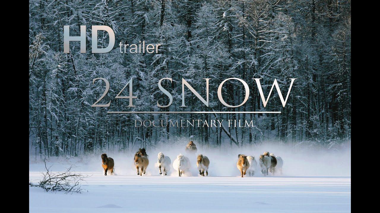 24 Snow Trailer
