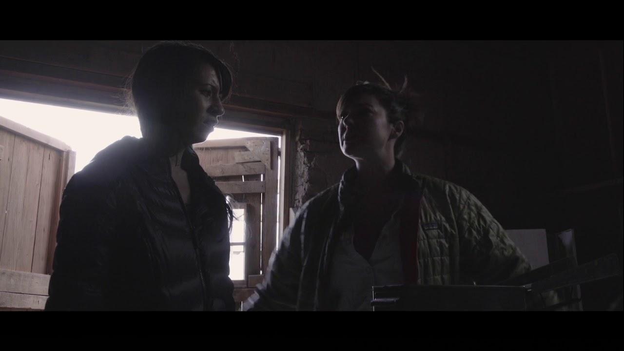 At Your Own Risk Trailer