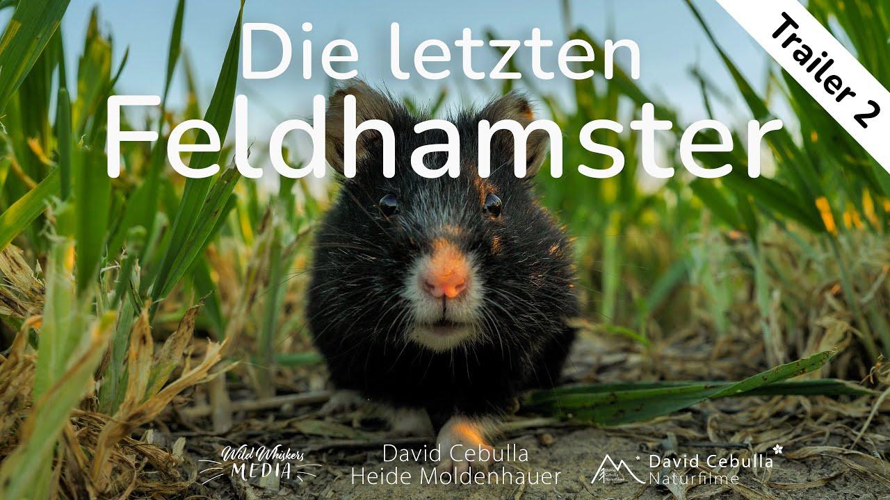 The Last Common Hamsters Trailer
