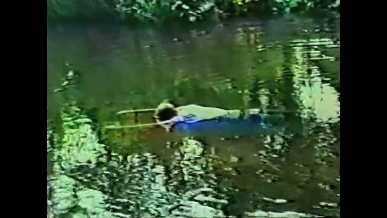 Dead North Trailer
