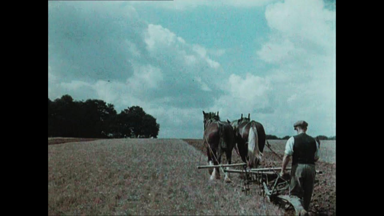 English Harvest Trailer
