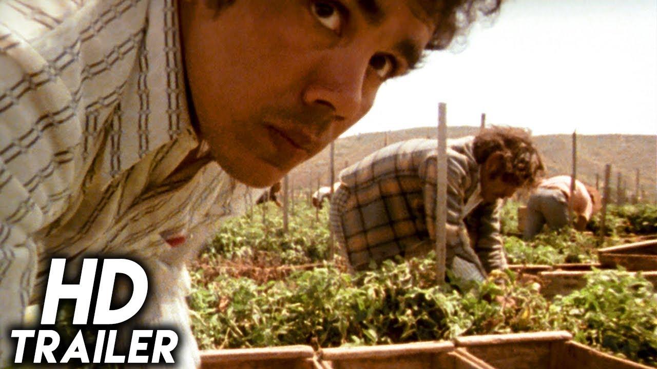 Alambrista! Trailer