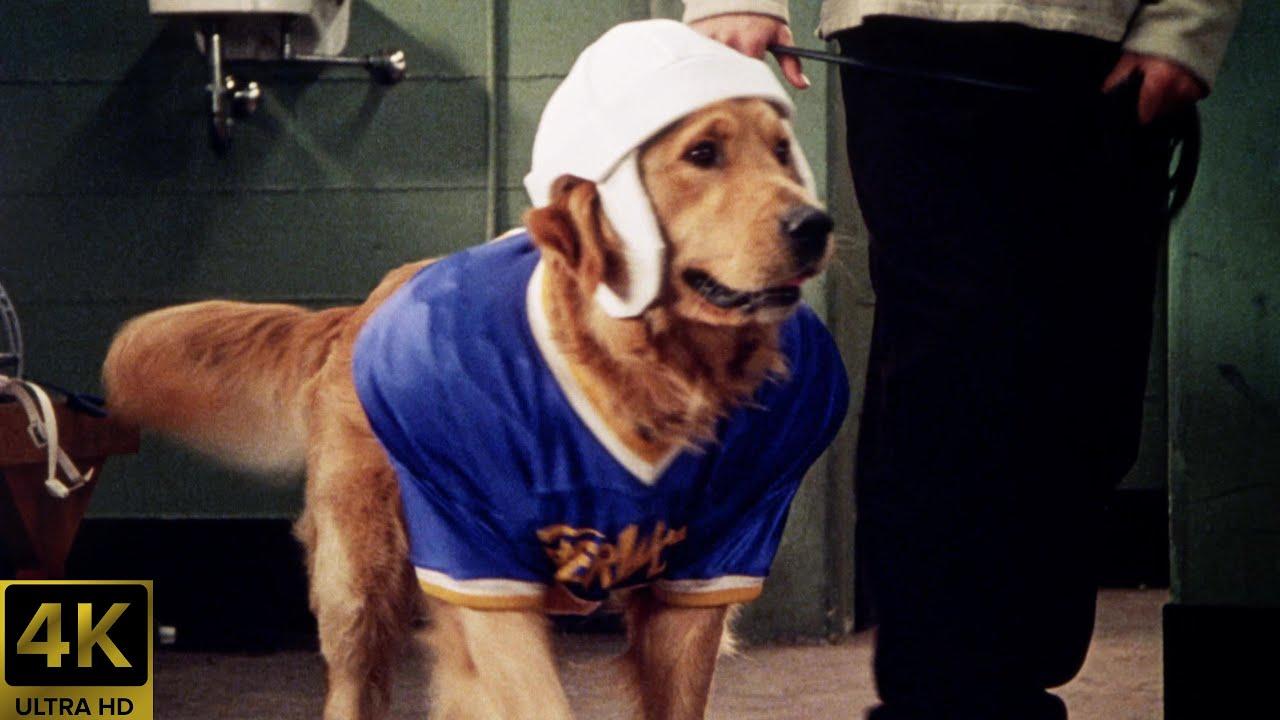 Air Bud: Golden Receiver Trailer