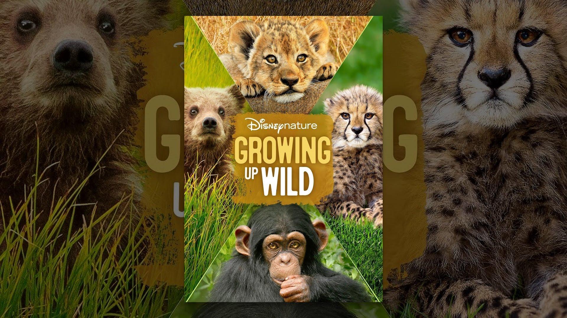 Growing Up Wild Trailer