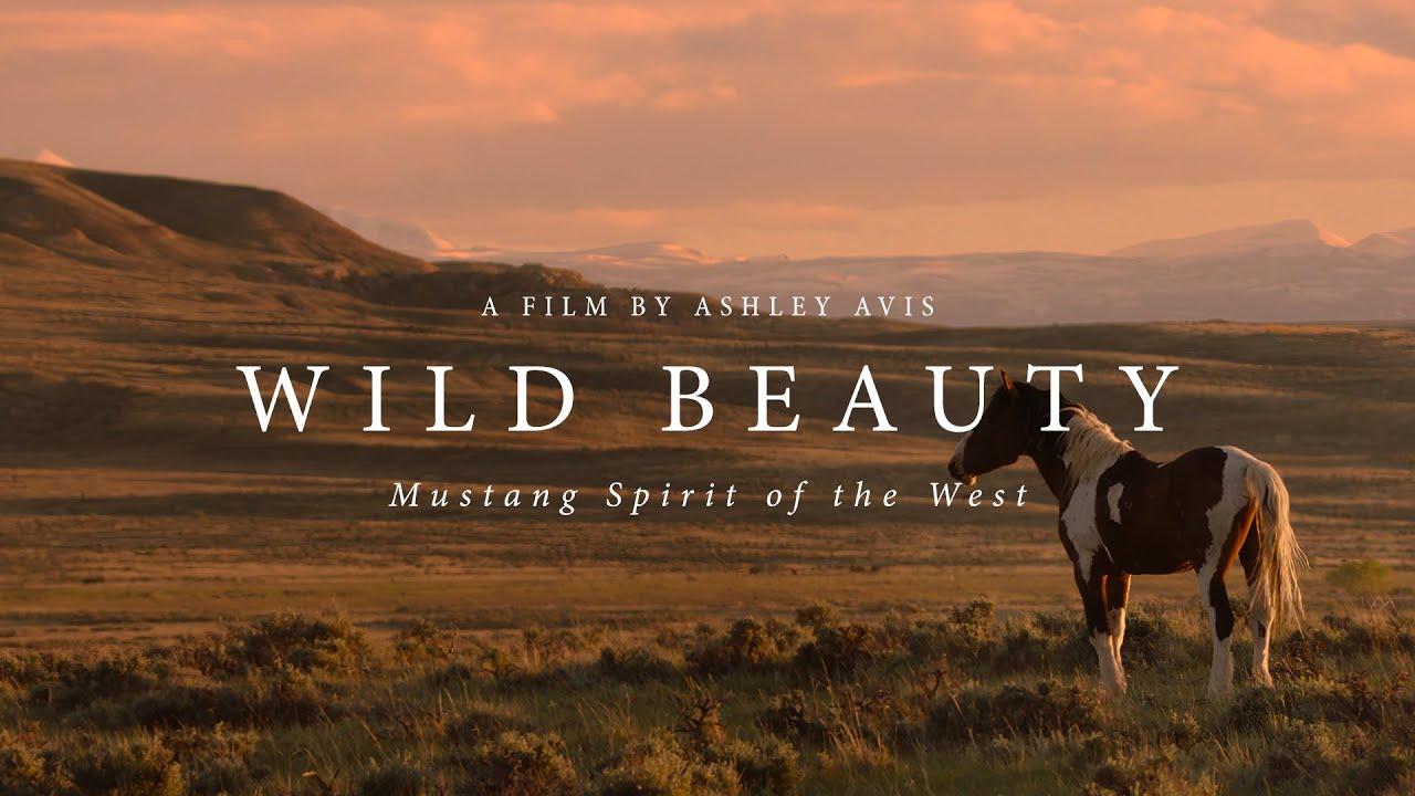 Wild Beauty: Mustang Spirit of the West Trailer