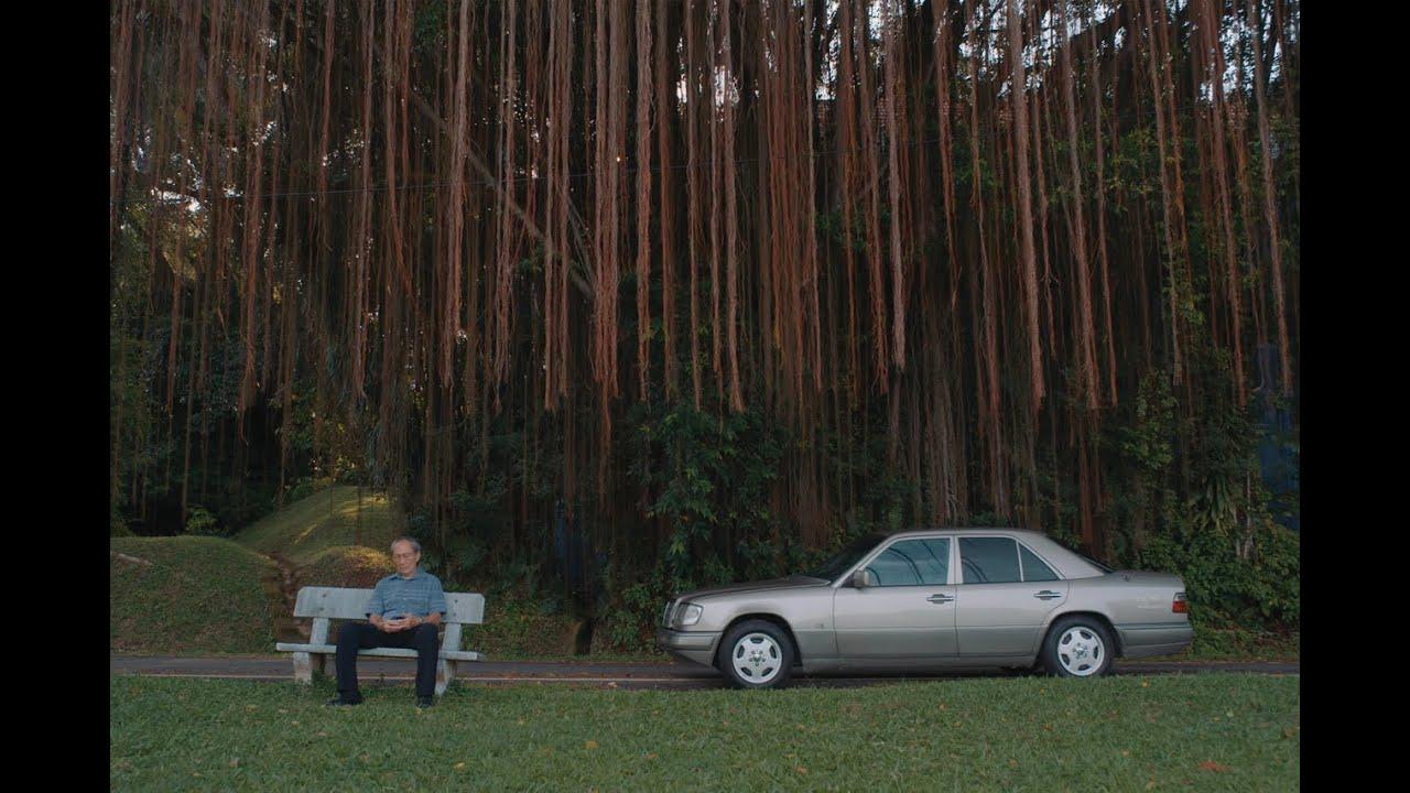 The Old Man and His Car Trailer