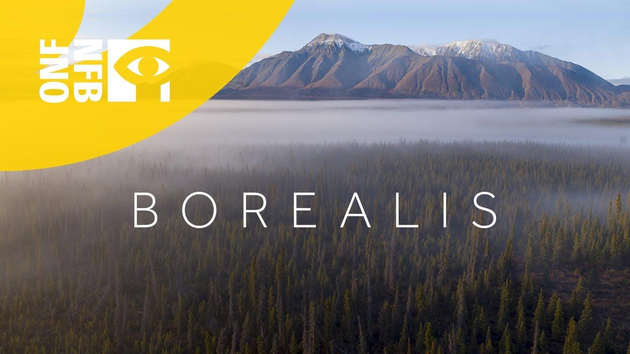 Borealis Trailer