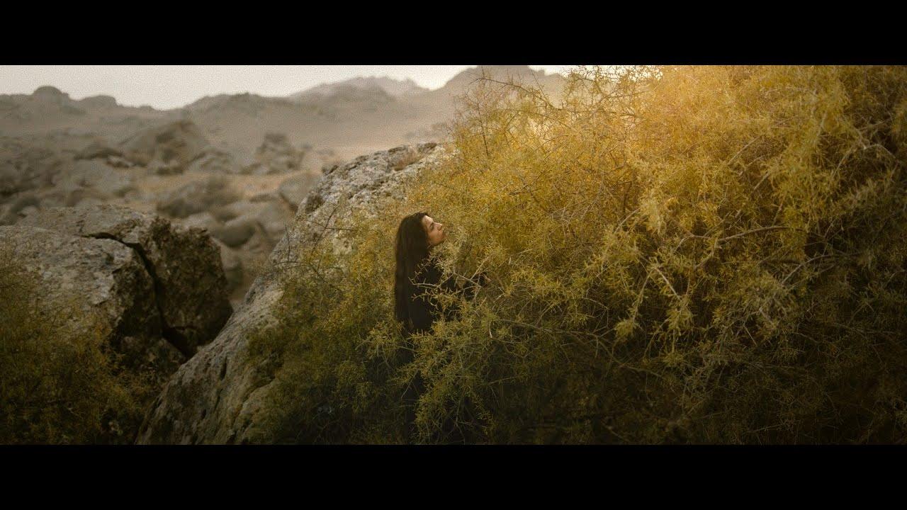 Sermon to the Fish Trailer