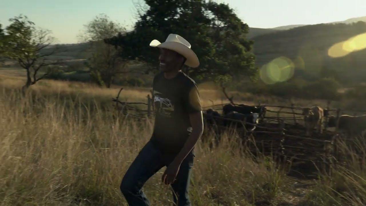 Dusty & Stones Trailer