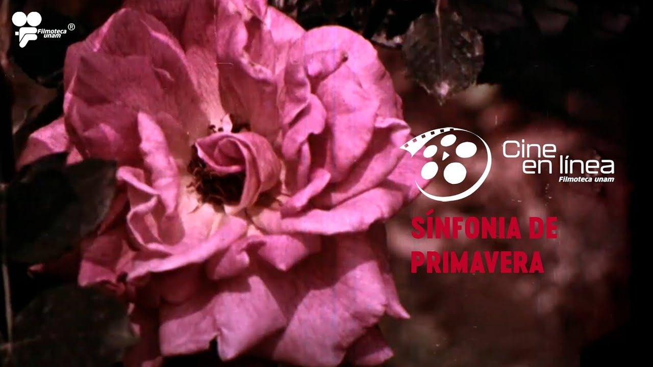 Spring Symphony Trailer