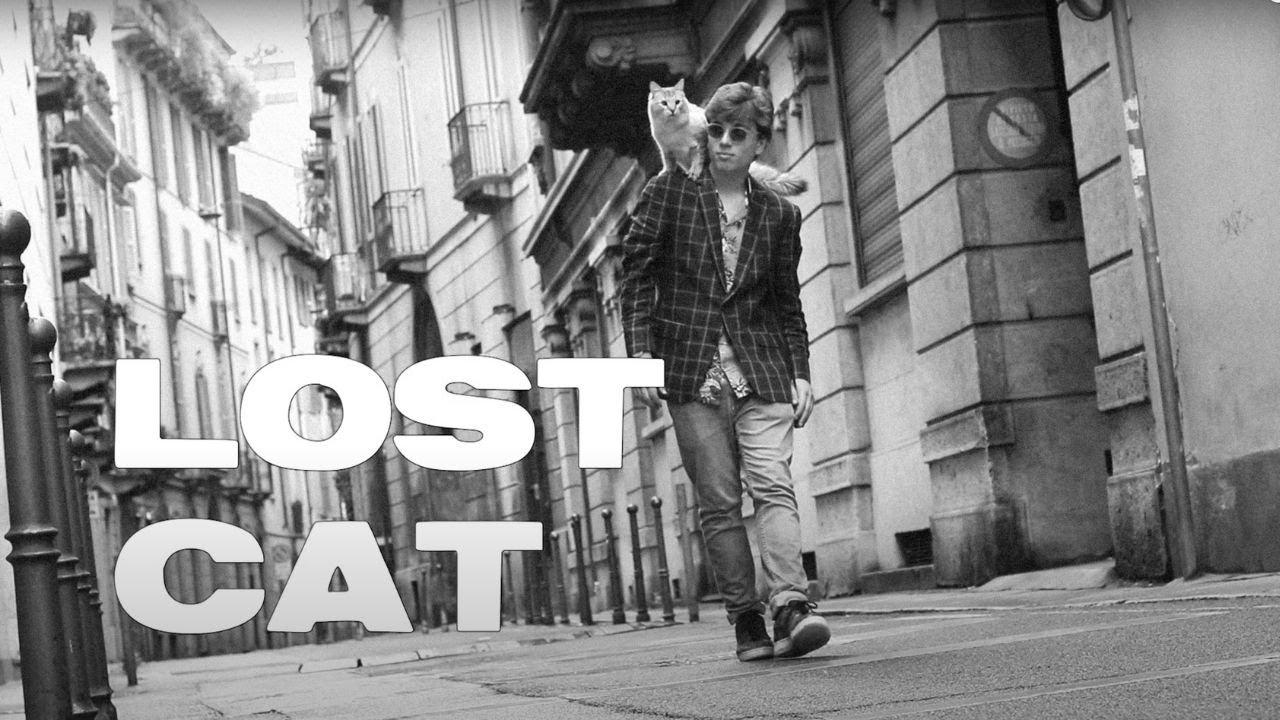 Lost Cat Trailer