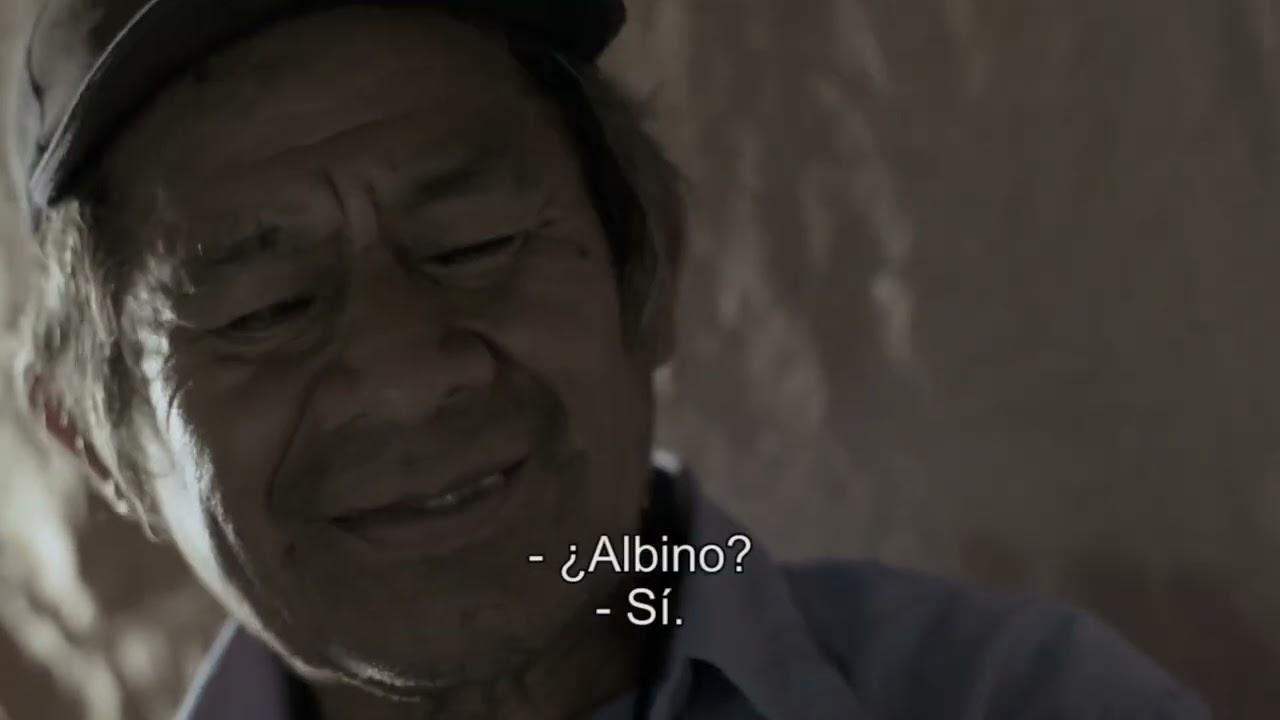 Diario Guaraní Trailer
