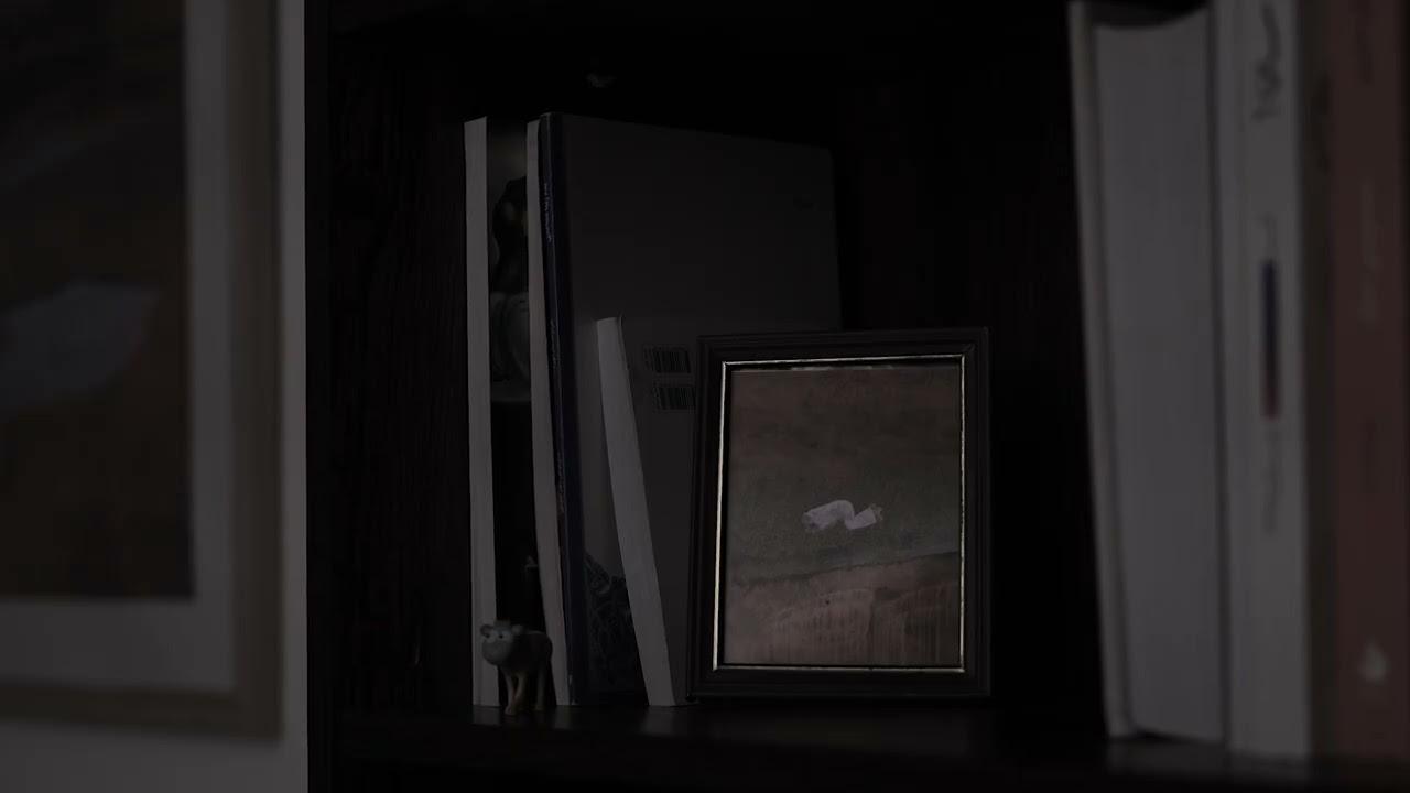 Memories of a Window Trailer