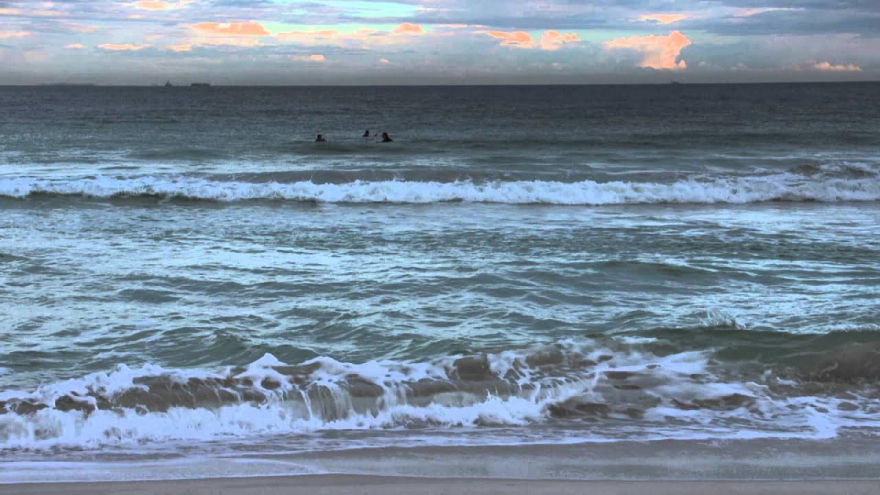 Why Sharks Attack Trailer