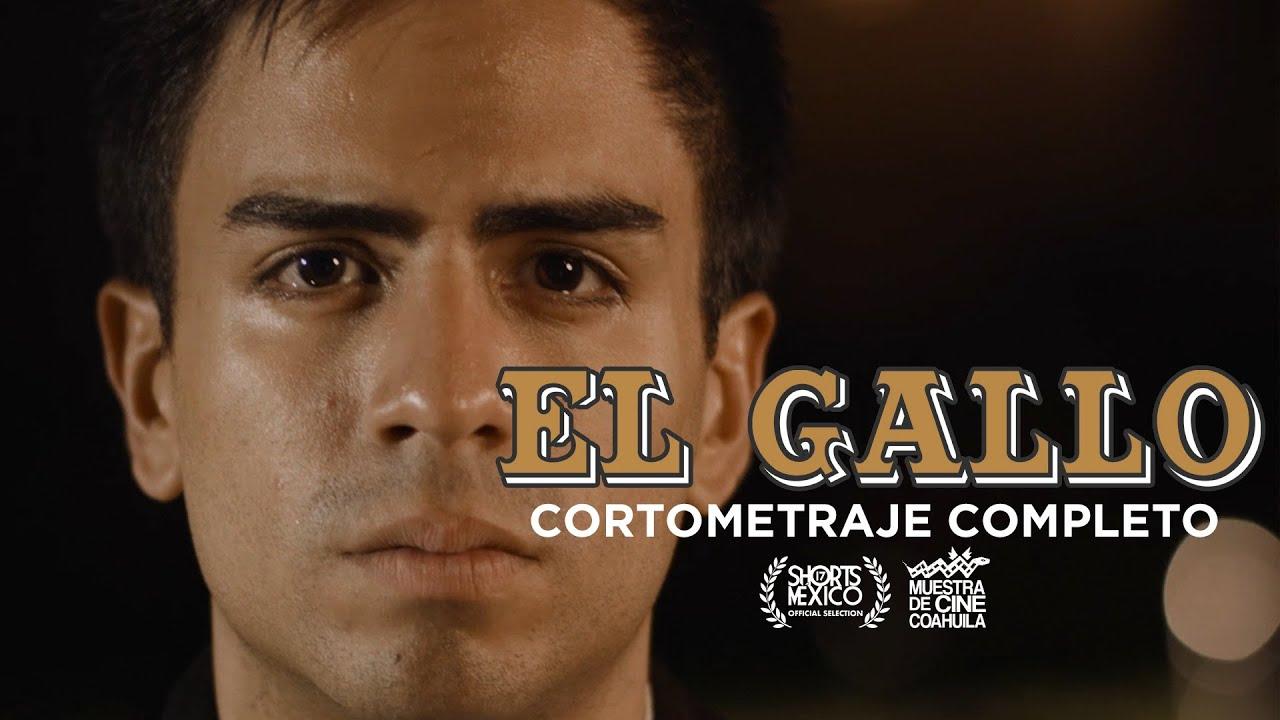 El Gallo Trailer